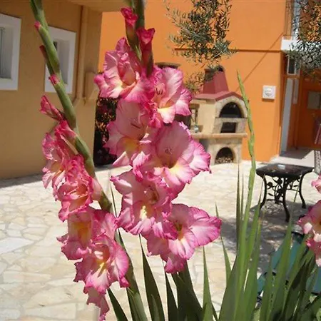 Erietta Hotel apartamentowy